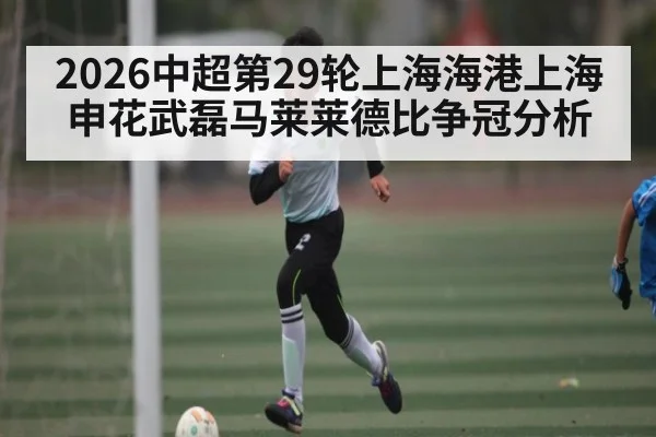 2026中超第29轮上海海港上海申花武磊马莱莱德比争冠分析